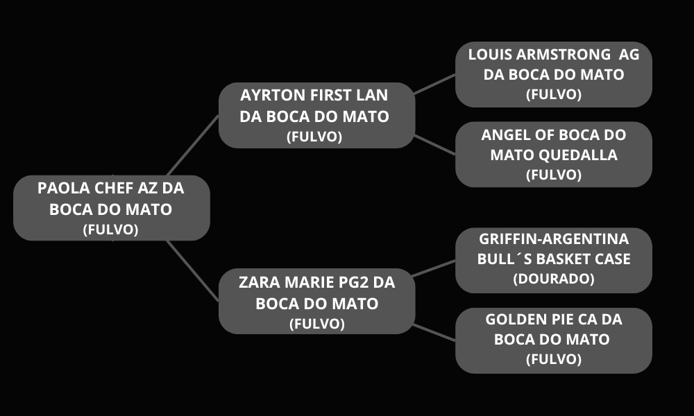 Bullmastiff Nala - Canil Casa Silva - Pedigree